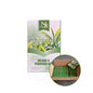 Deluxe 4‑Steps Pedi Kit 50 Sets Carton | Professional Bulk Pedicure Spa Kit（50set/ctn）